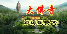 免费看的黄片操逼中国浙江-新昌大佛寺旅游风景区
